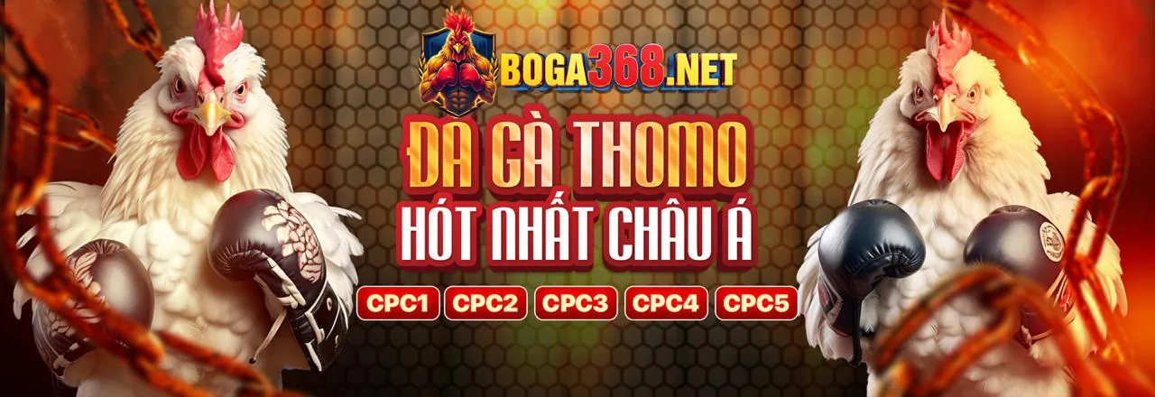 Hình ảnh chính thức trang đăng nhập QH8888