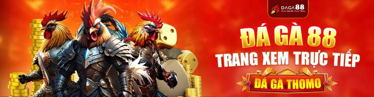 Đá gà trực tuyến qh8888 trang chủ chính thức với các trận đấu gà kịch tính